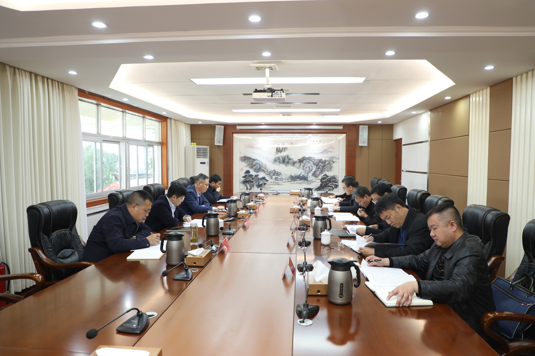 宁远县委审计委员会第三次会议召开