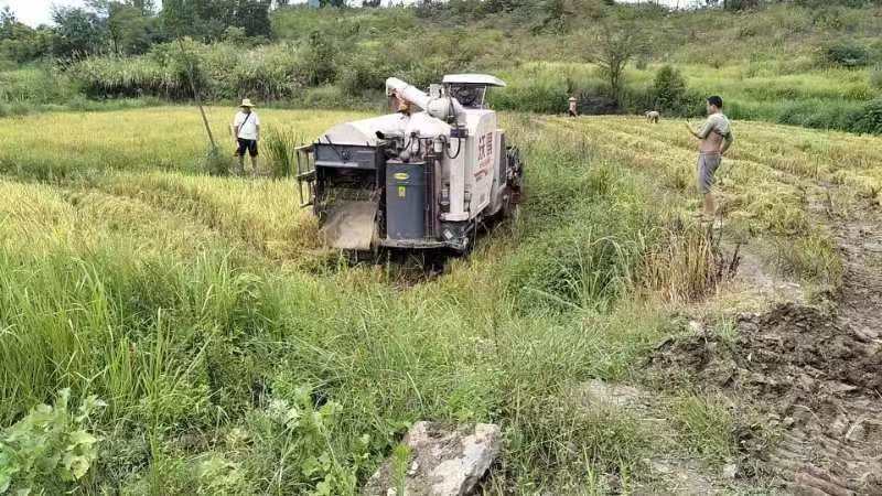 寧遠：黨日活動踐初心 助農(nóng)搶收暖民心