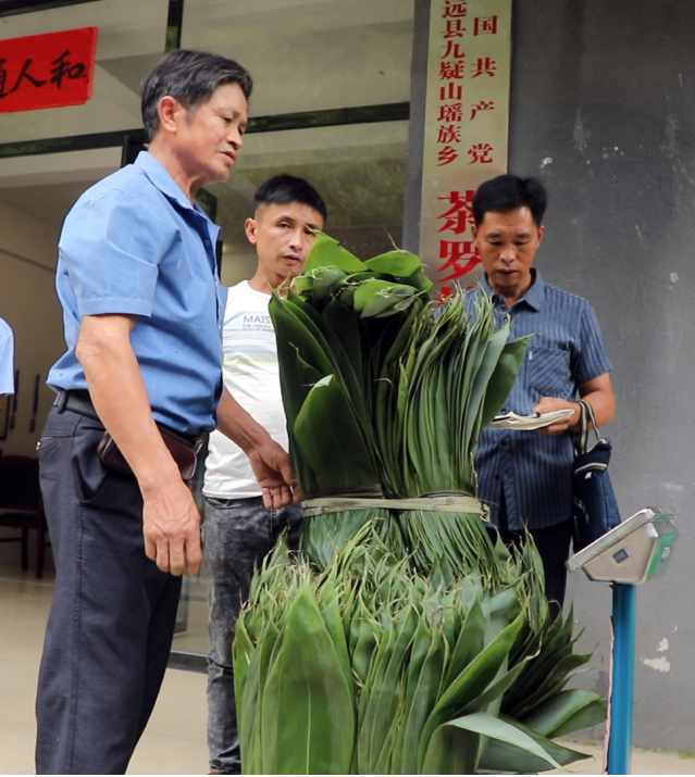 寧遠：一片粽葉帶富一方百姓