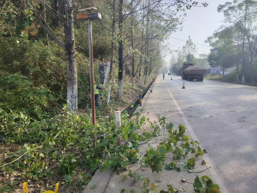 寧遠(yuǎn)：清理樹枝除隱患 共筑平安暢通路