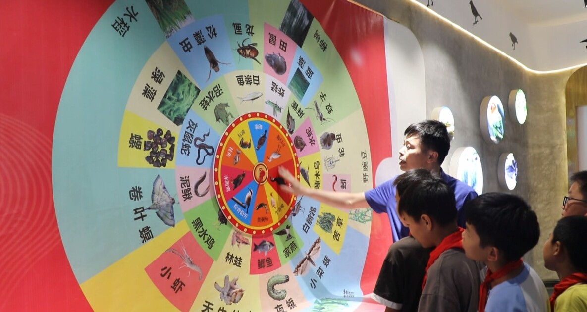 宁远举办“六·五”世界环境日主题宣传活动