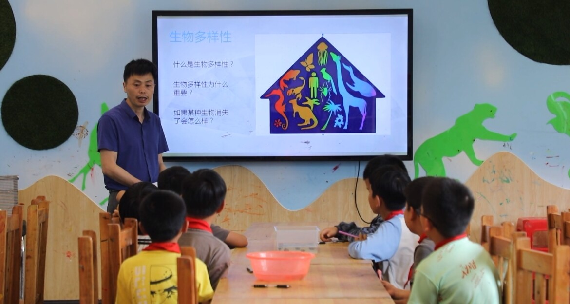 宁远：开展“世界环境日”系列活动