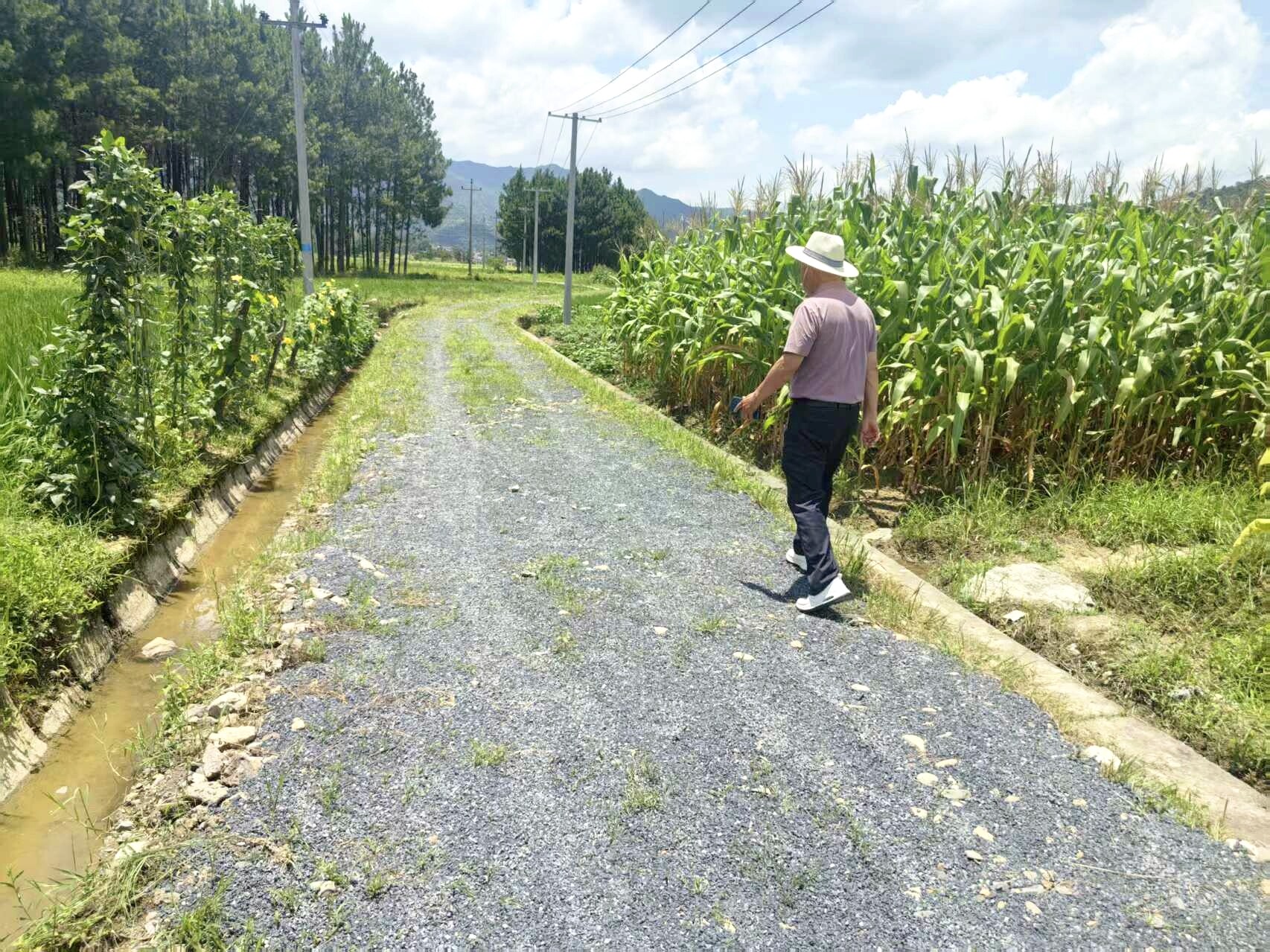 寧遠清水橋鎮(zhèn)：農(nóng)機直達解民憂