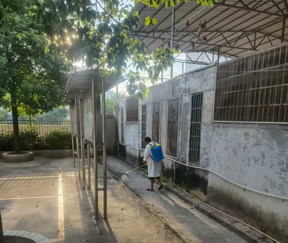 寧遠水市鎮(zhèn)：筑牢基孔肯雅熱防控防線