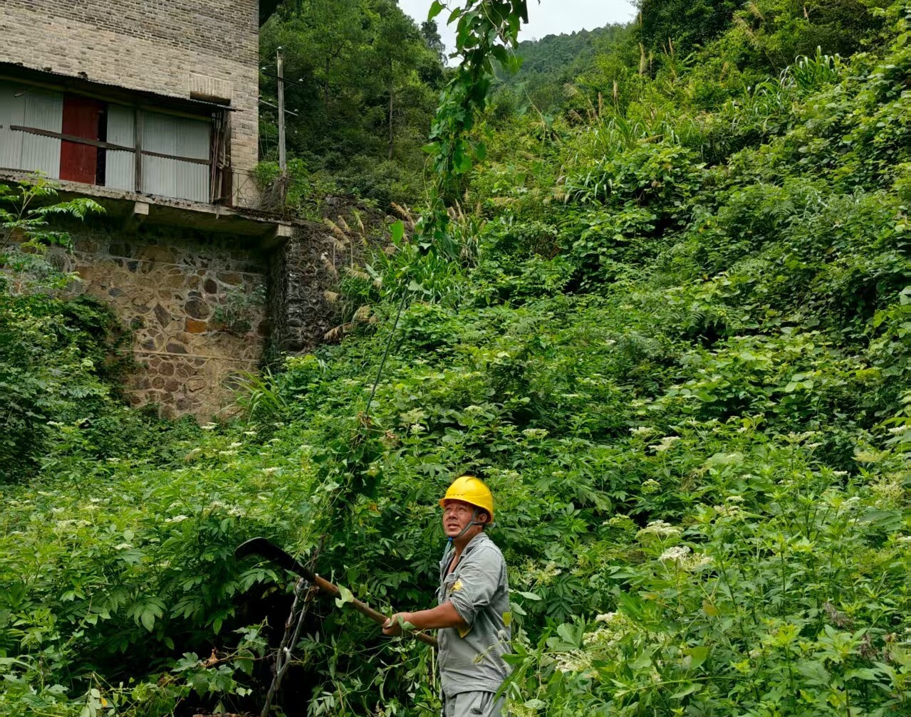 國網(wǎng)寧遠(yuǎn)縣供電公司：通道治理筑牢電網(wǎng)安全防線