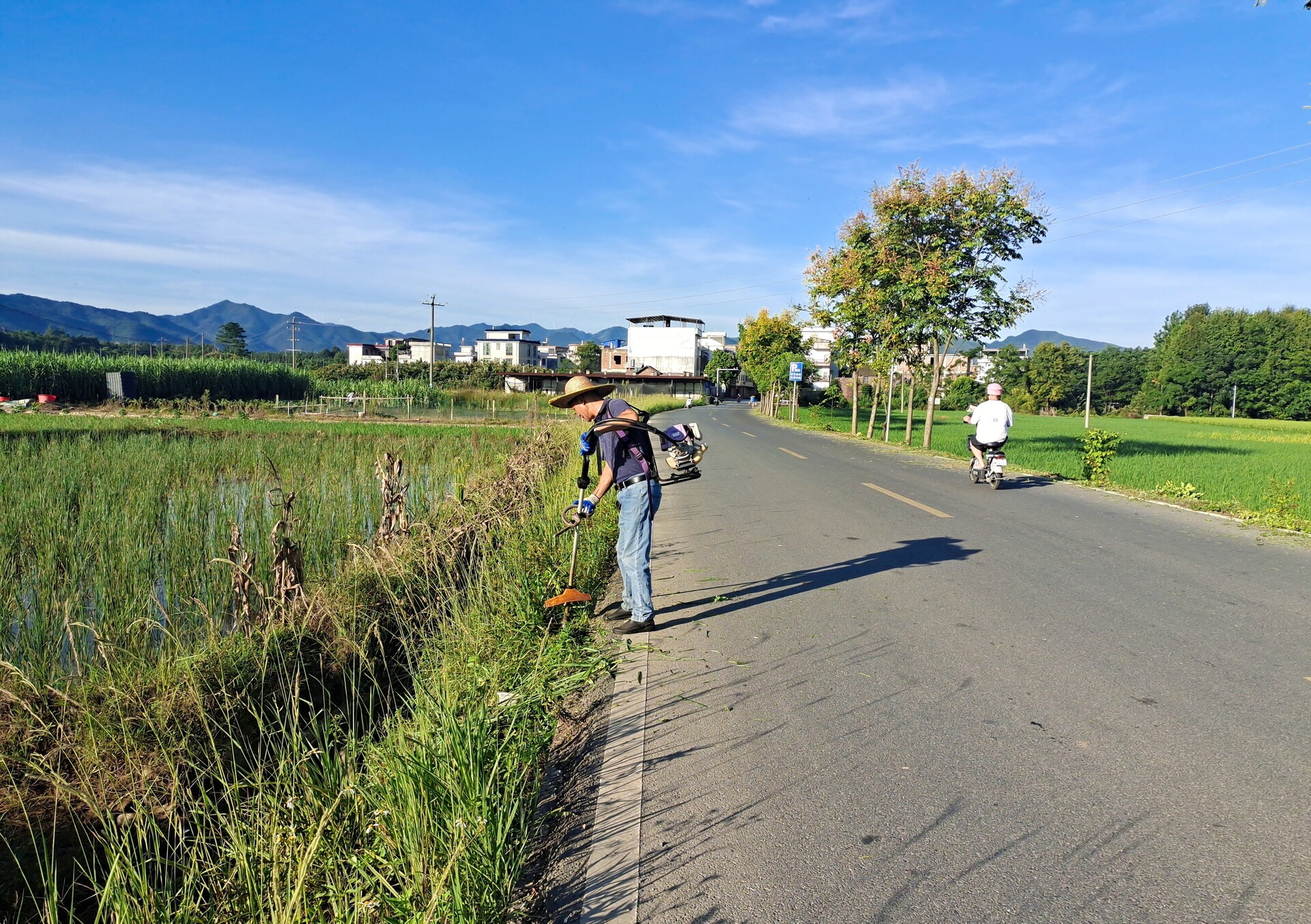 寧遠(yuǎn)水市鎮(zhèn)：開展道路兩旁除草行動