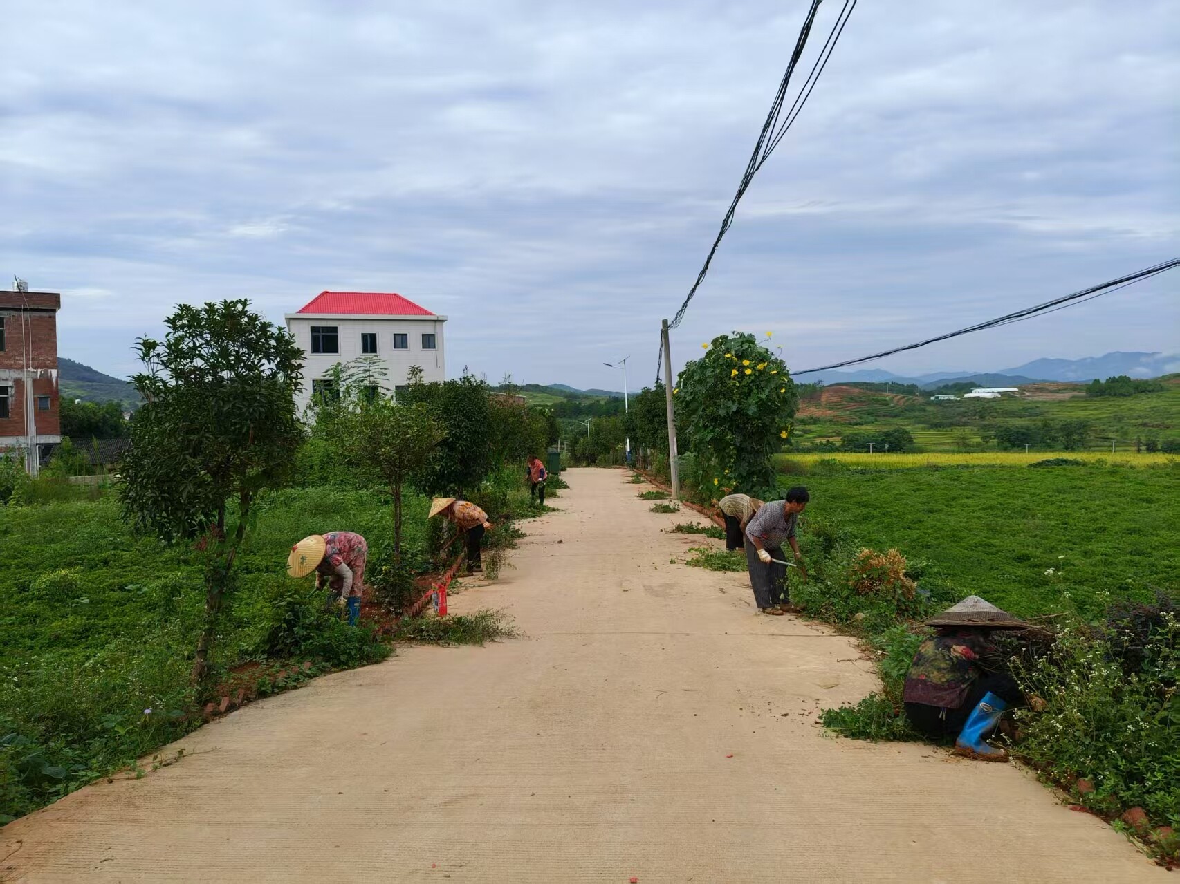 寧遠(yuǎn)保安鎮(zhèn)：黨群同心繪就宜居新圖景