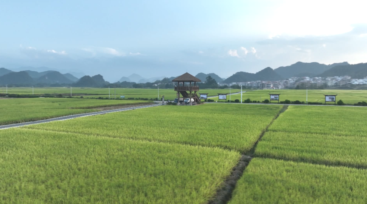 宁远：“一山一城”绘就生态惠民新图景