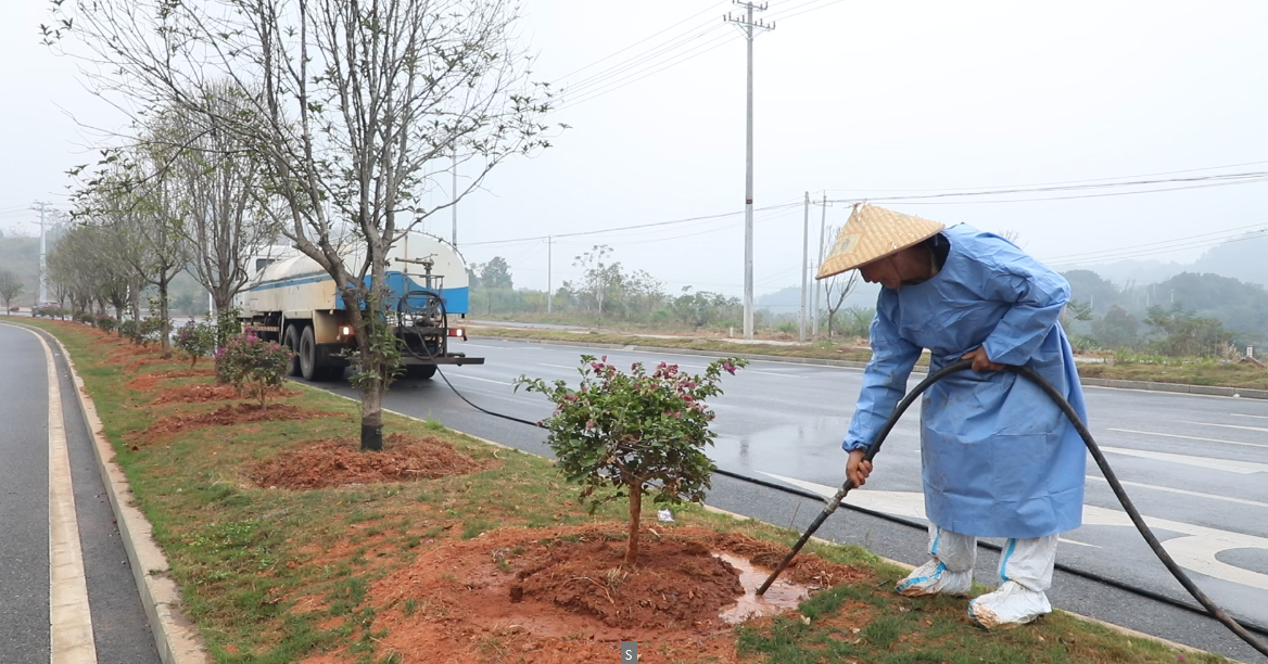 宁远全面开展秋冬季园林绿化养护工作