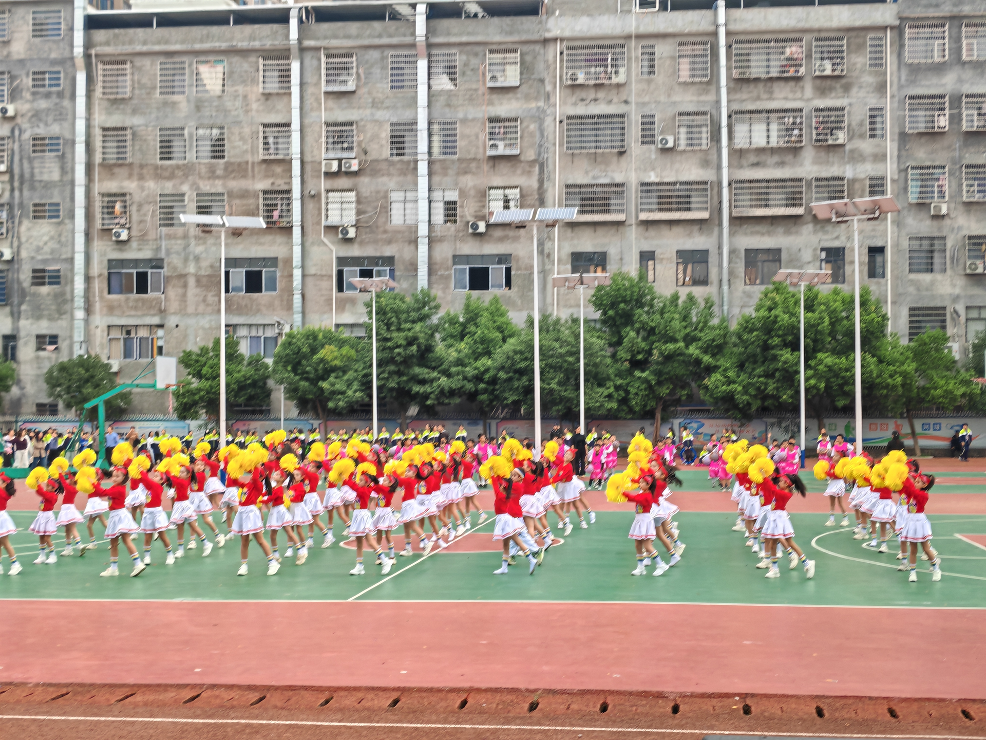 宁远县莲花小学：薪火燃赛场 少年展锋芒