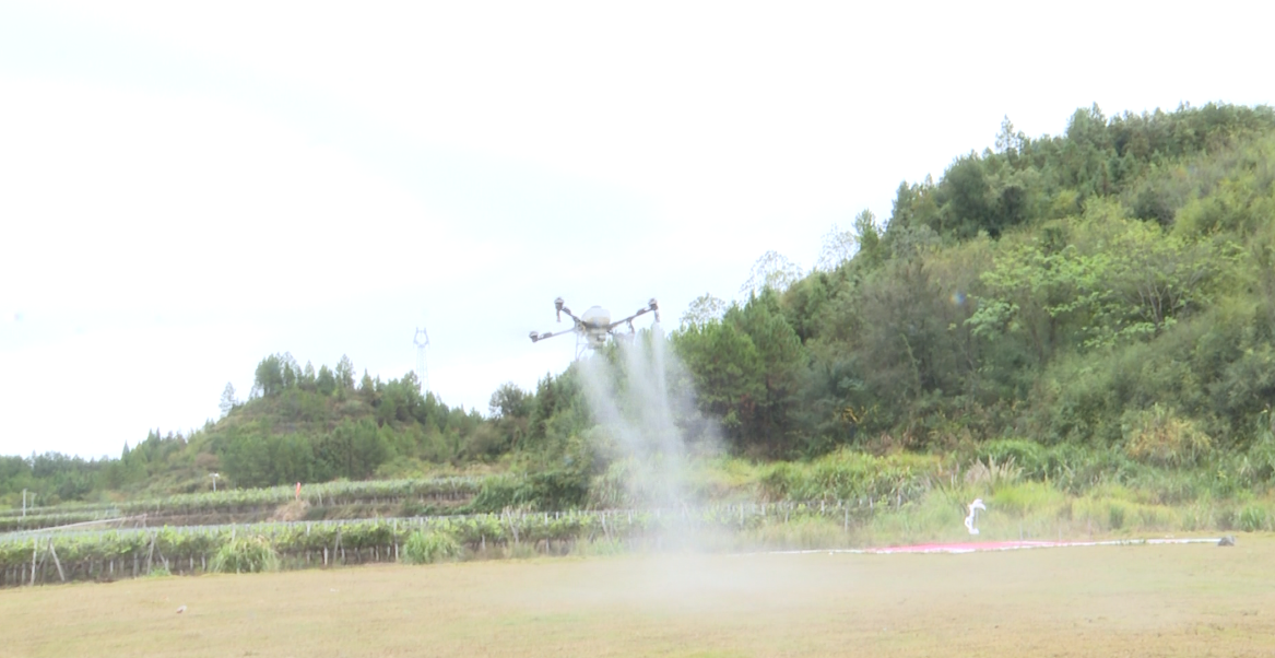 宁远：农机手解锁无人机作业新技能