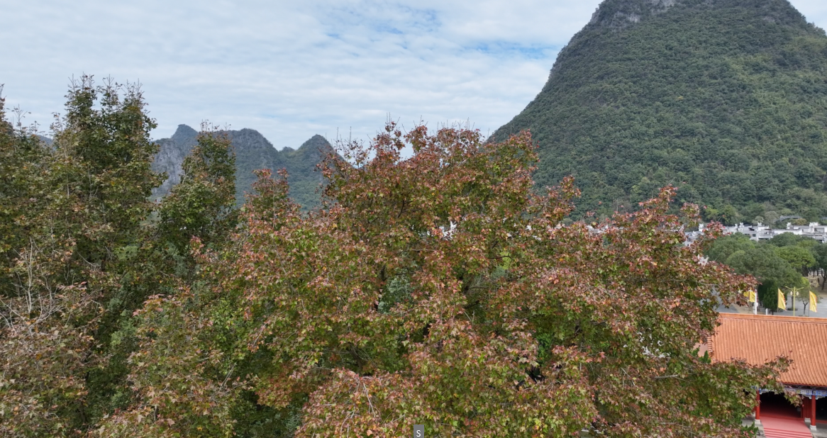 宁远：九嶷山景区枫叶渐红  观赏佳期即将来临