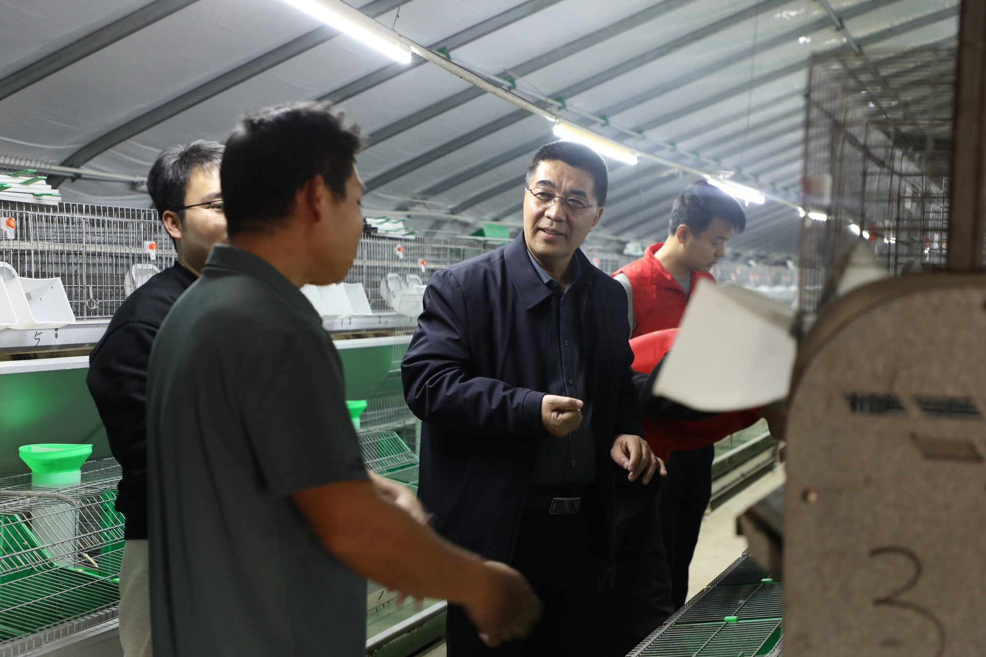 省科技特派员上门“传经送宝” 为宁远贡兔养殖添动能