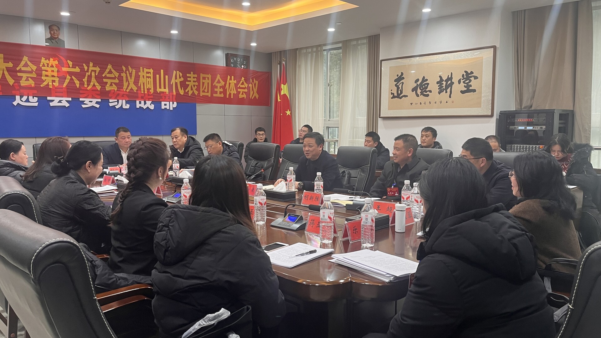 【聚焦两会】杨康参加桐山代表团讨论