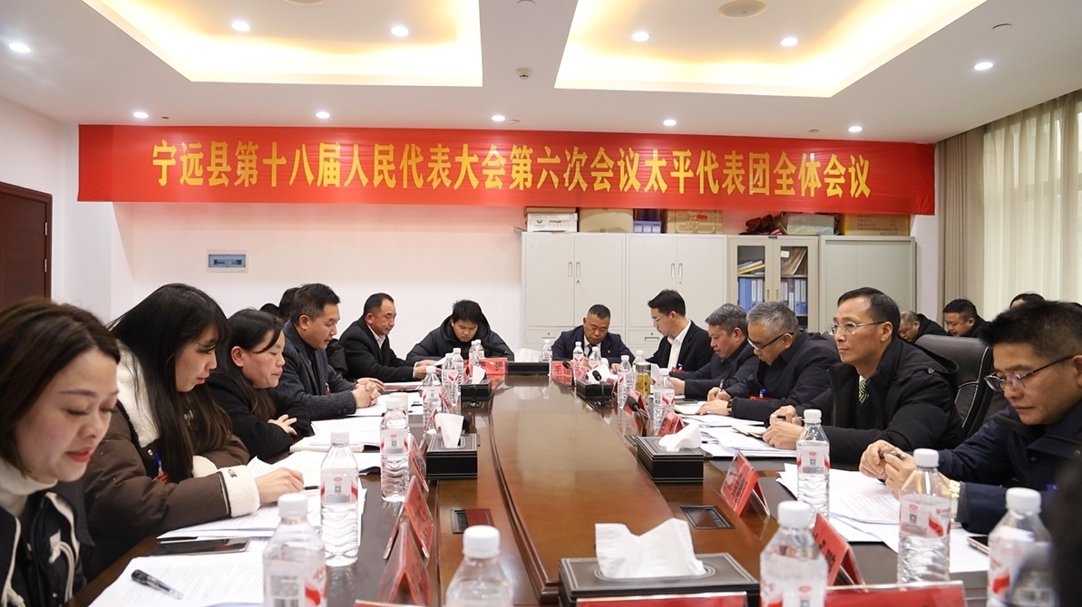 【聚焦两会】曹辉正参加太平代表团讨论