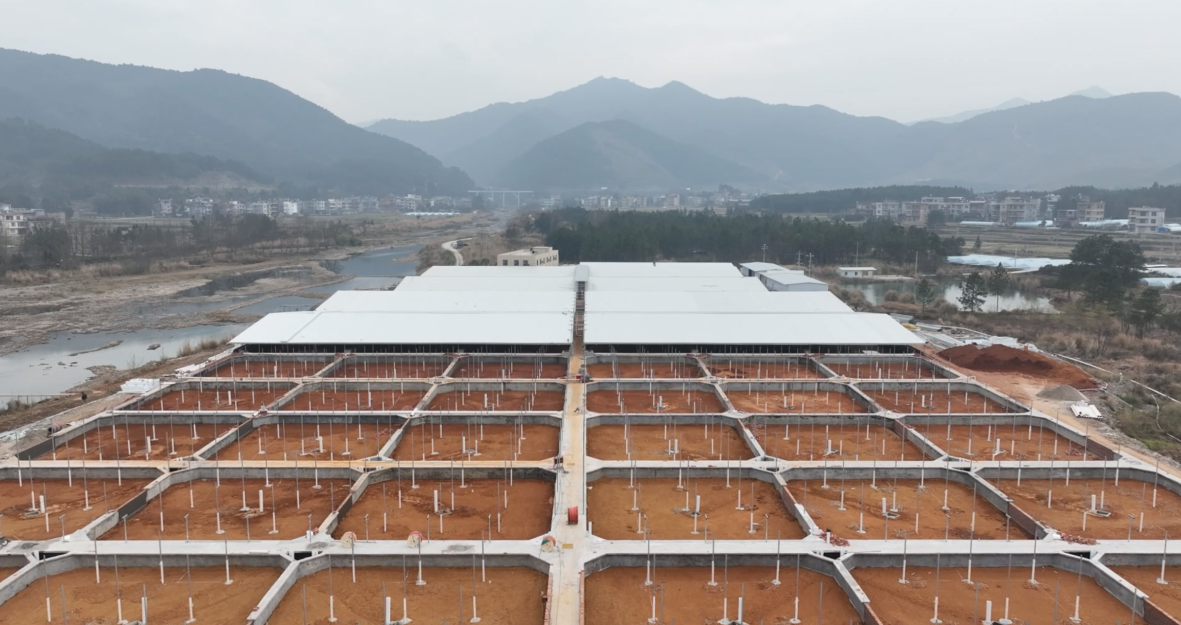 宁远规范化养殖推动现代农业高质量发展