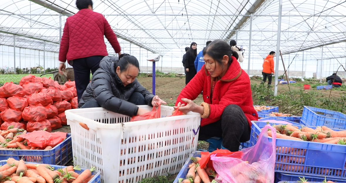 宁远：直播带货+爱心慰问 公益助农暖乡村