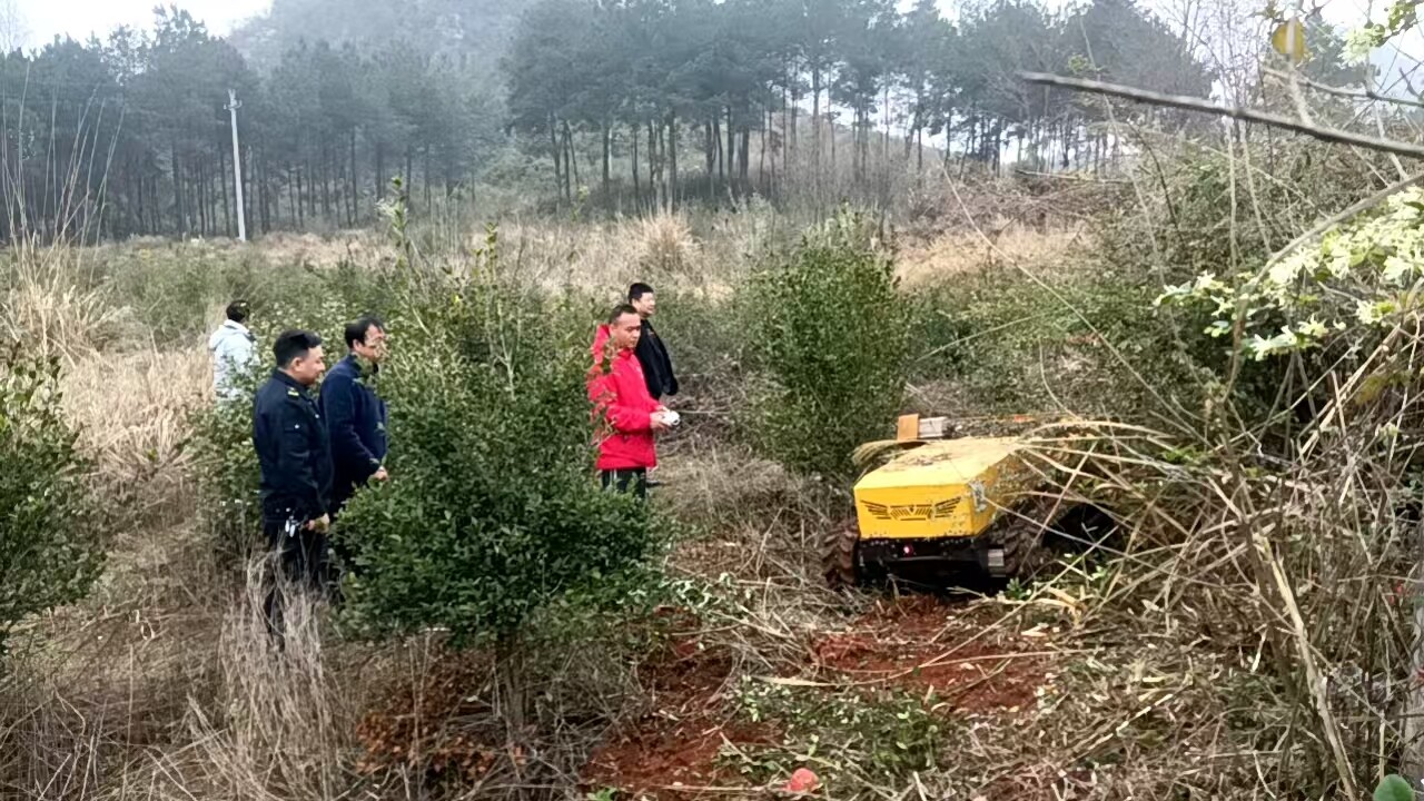 宁远县冷水镇：“清障先锋”上岗  筑牢森林“防火墙”