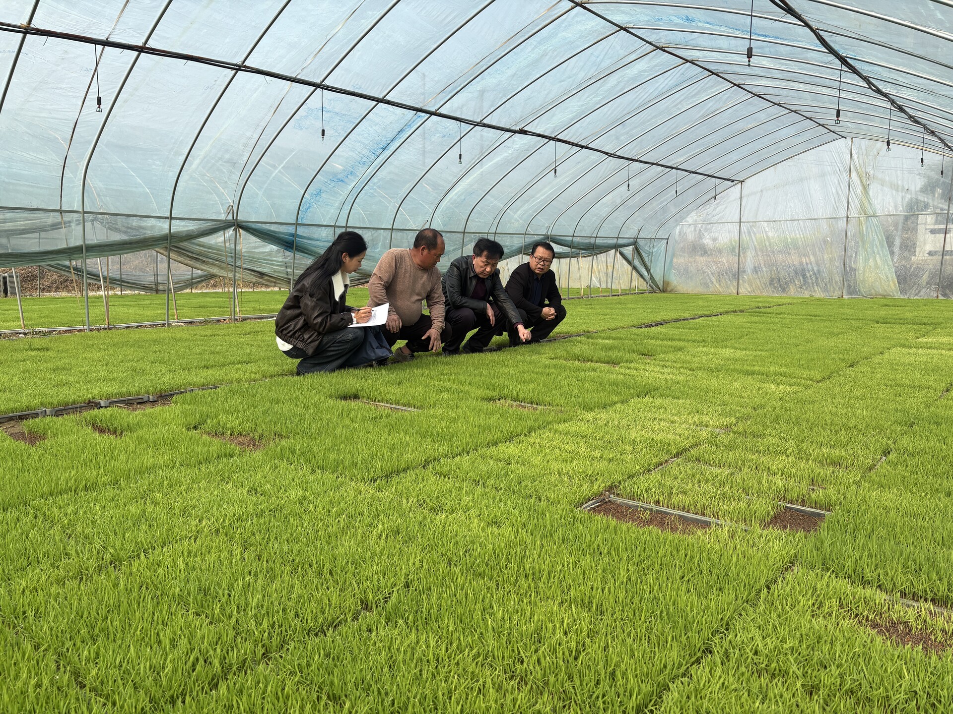 宁远科技特派员下田“开方”