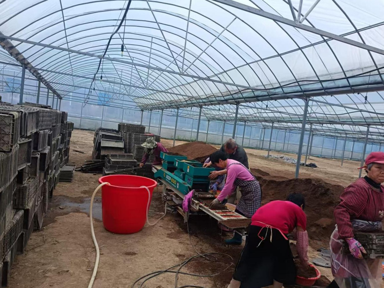 宁远县九疑瑶族乡：集中育秧提速 绘就春耕“丰”景