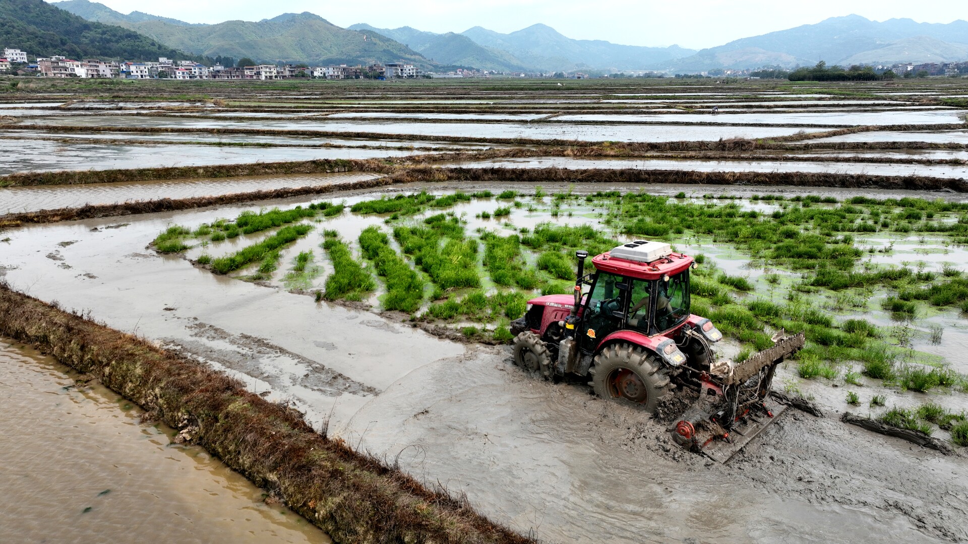 宁远：种粮大户抢抓农时插秧忙