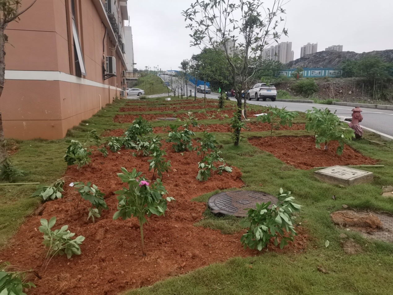 宁远：打造鲜活中医药科普馆