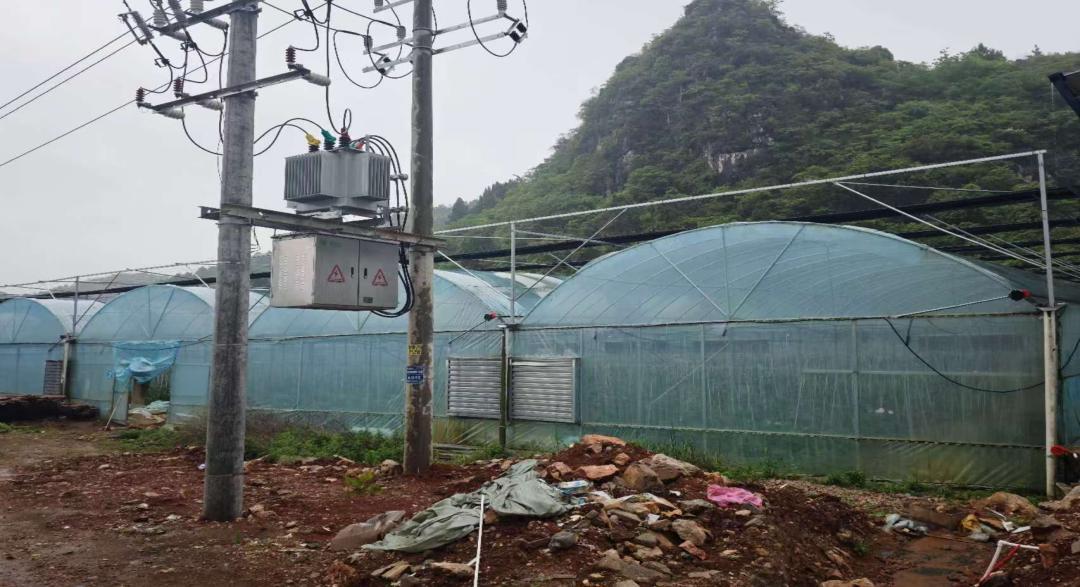 宁远电力：电力护航大棚经济 铺就乡村增收路