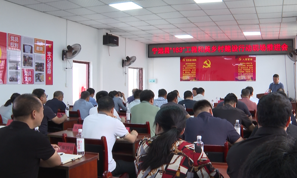 宁远县召开“163”工程和美乡村建设行动现场推进会
