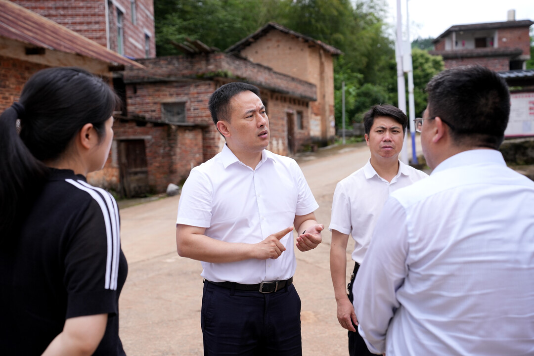 林亮亮调研农村乱占耕地建房专项整治工作