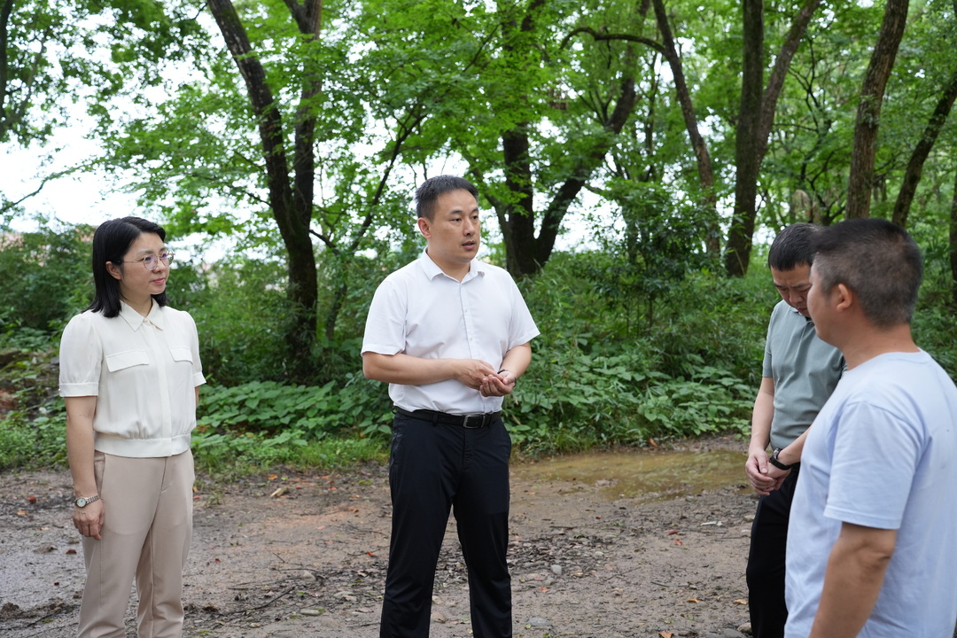 林亮亮检查防汛备汛工作