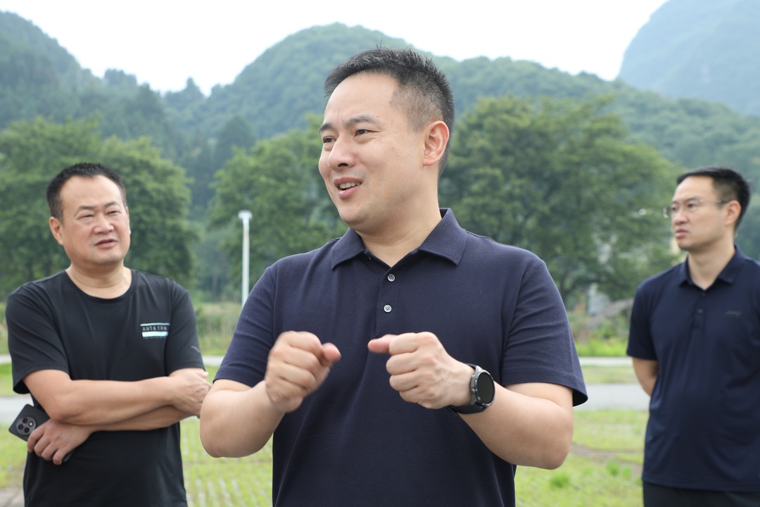 林亮亮调研文旅产业发展工作
