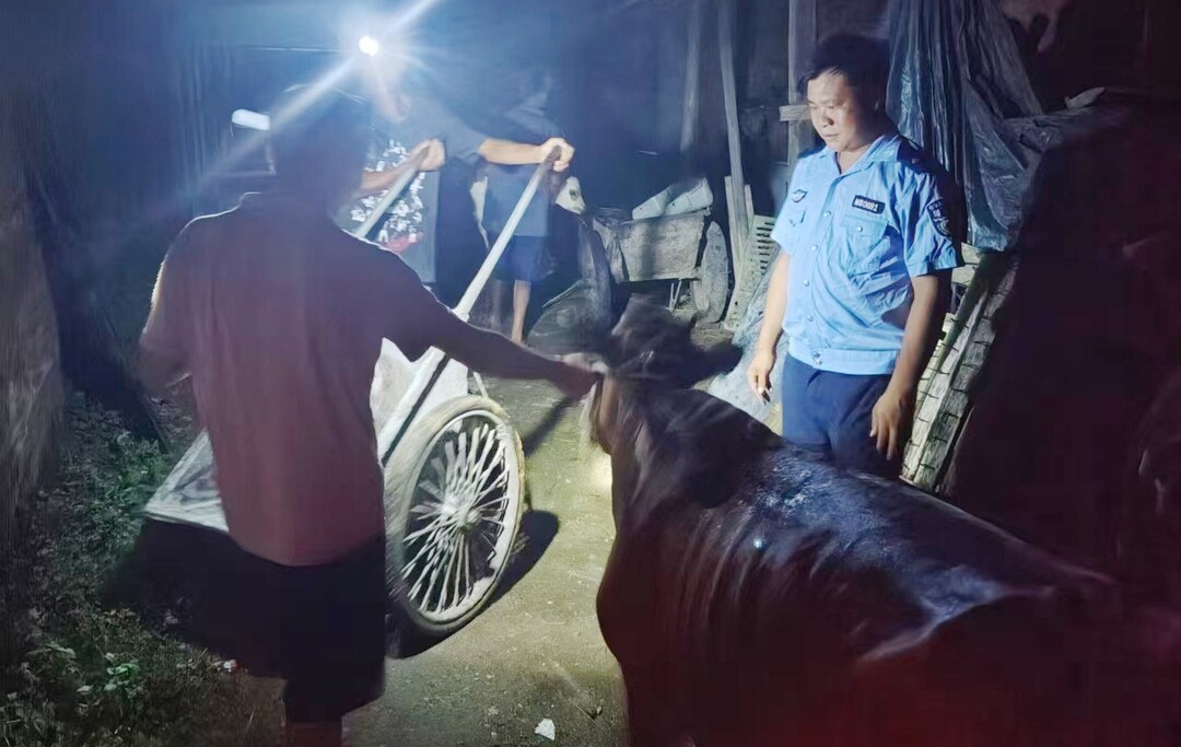 宁远公安：无人机+热成像 丢失的牛找到了