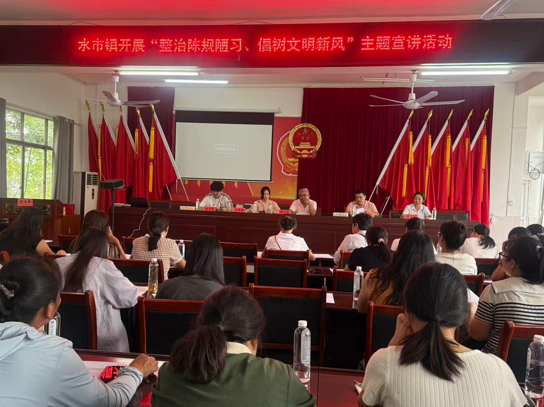 宁远县水市镇：巾帼宣讲树新风 移风易俗润民心