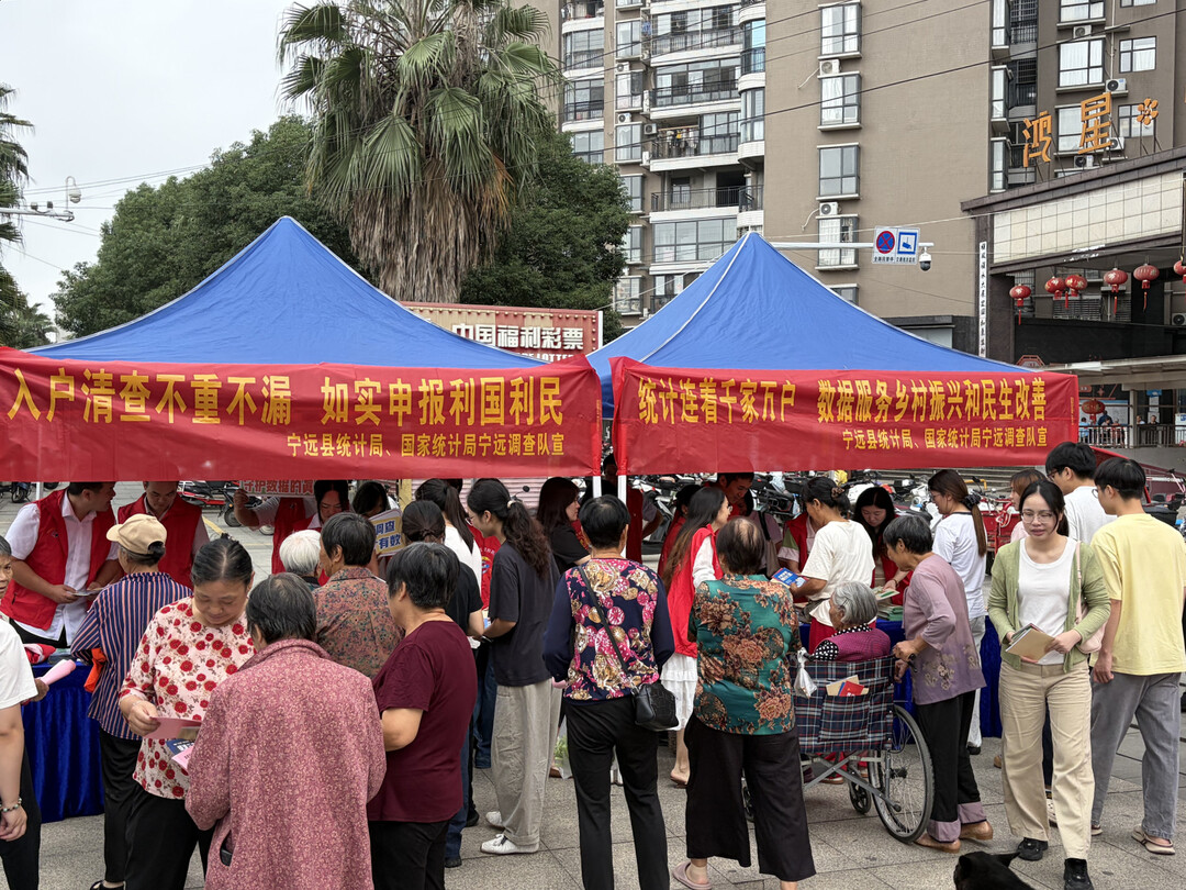 宁远县舜陵街道：普查宣传零距离 凝心聚力助农普