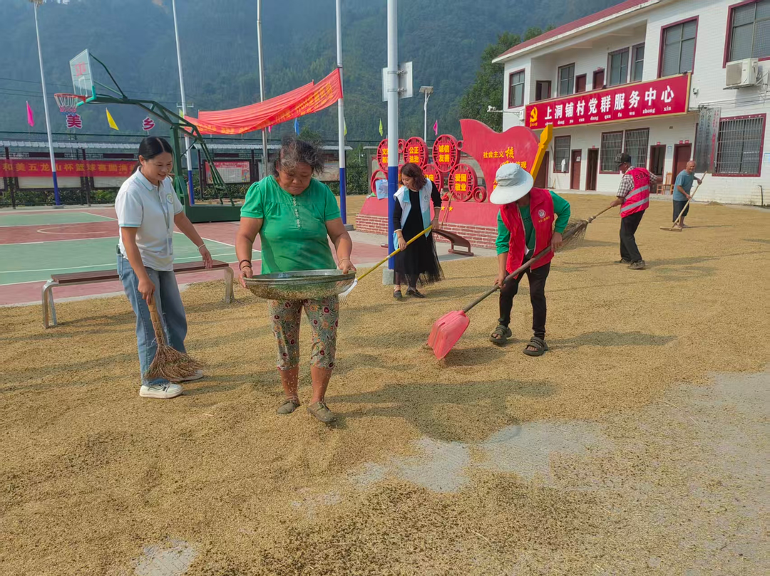 宁远县五龙山瑶族乡：金秋助农抢晒粮